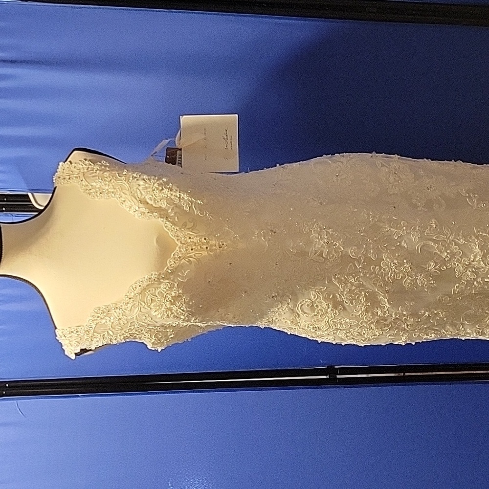 Elegant  Ivory Wedding Dress - Picture 12 of 17
